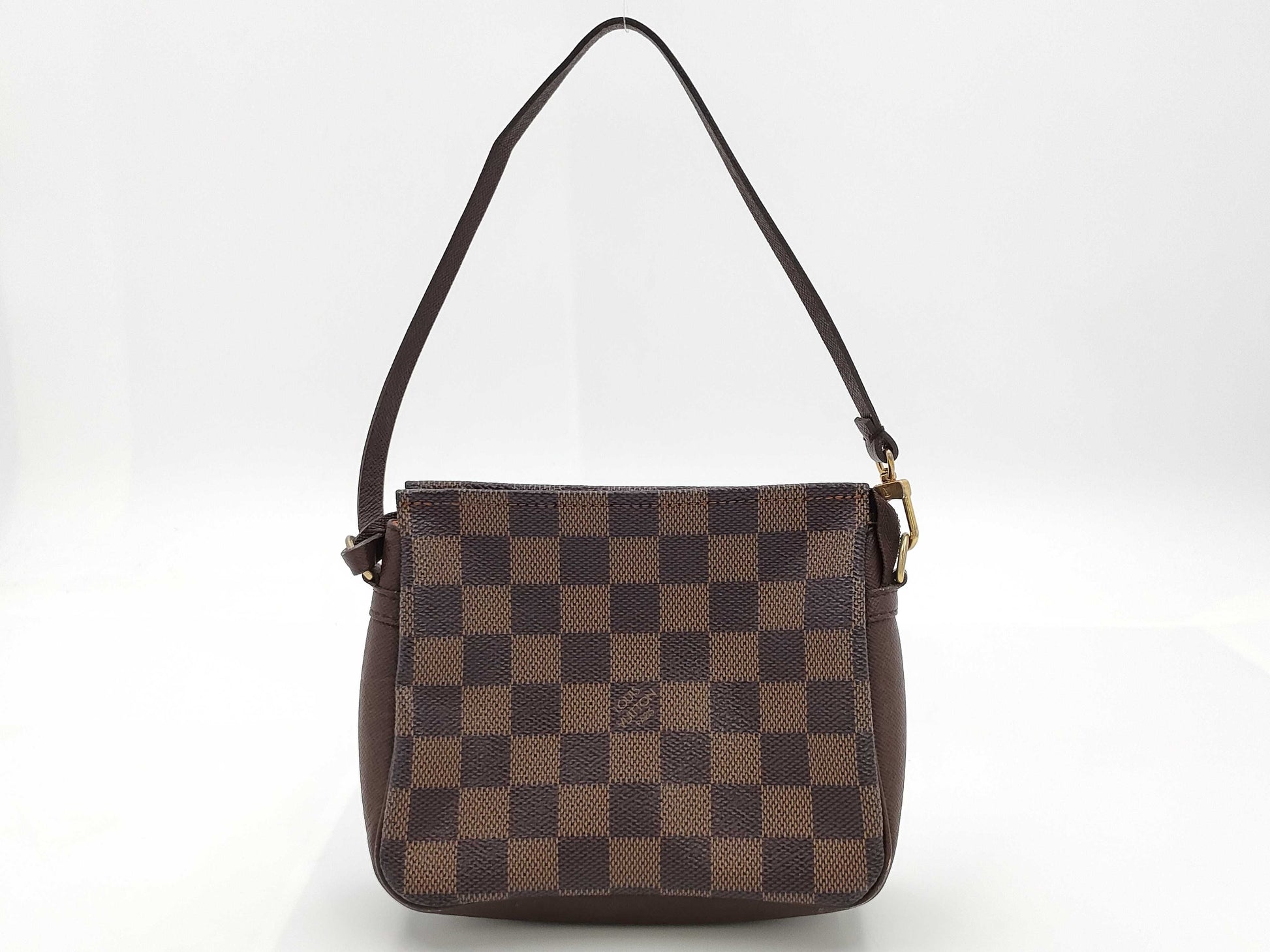 LOUIS VUITTON Damier Truth Makeup Handbag