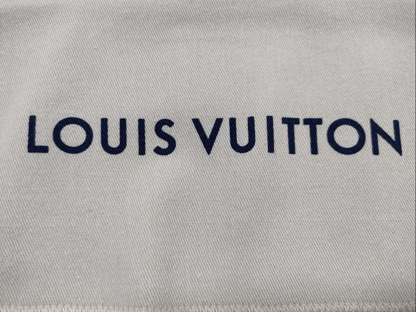 LOUIS VUITTON Current Storage Bag 