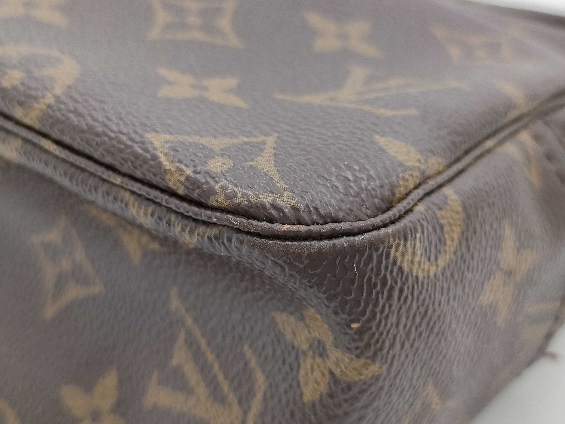 LOUIS VUITTON Monogram Truth Wallet Cosmetic Pouch