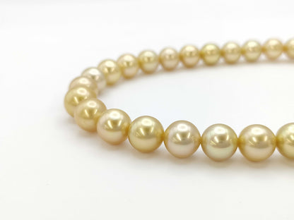 MIKIMOTO Golden Pearl Diameter Approx. 9.0-11.3mm K18 / Golden Pearl Diameter Approx. 12.4mm K18 73.1g Other Accessories 