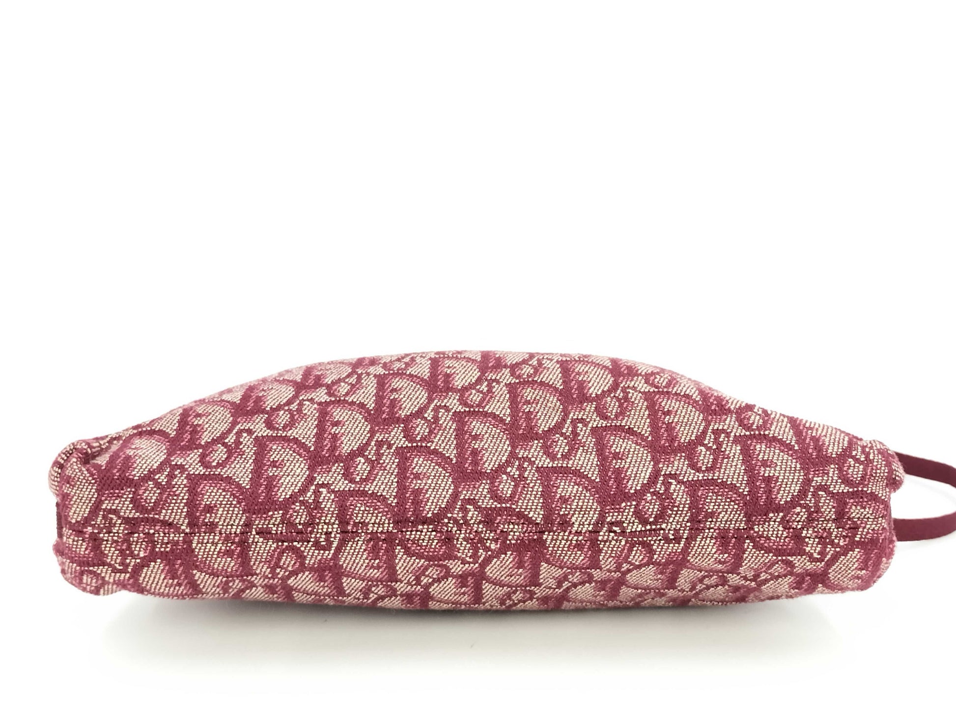 Dior Christian Dior Trotter Shoulder Bag Handbag