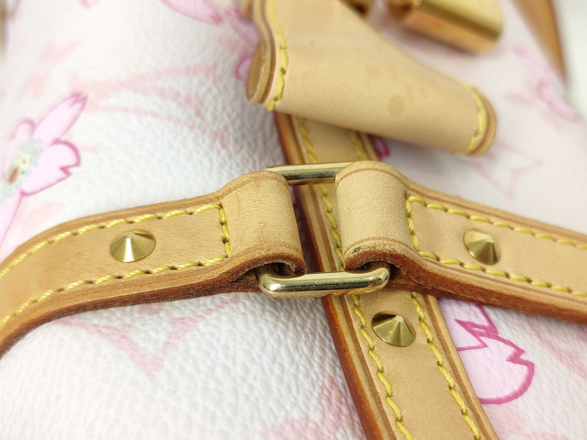 LOUIS VUITTON Monogram Cherry Monogram Cherry Papillon 26 Murakami Takashi M92010 Handbag