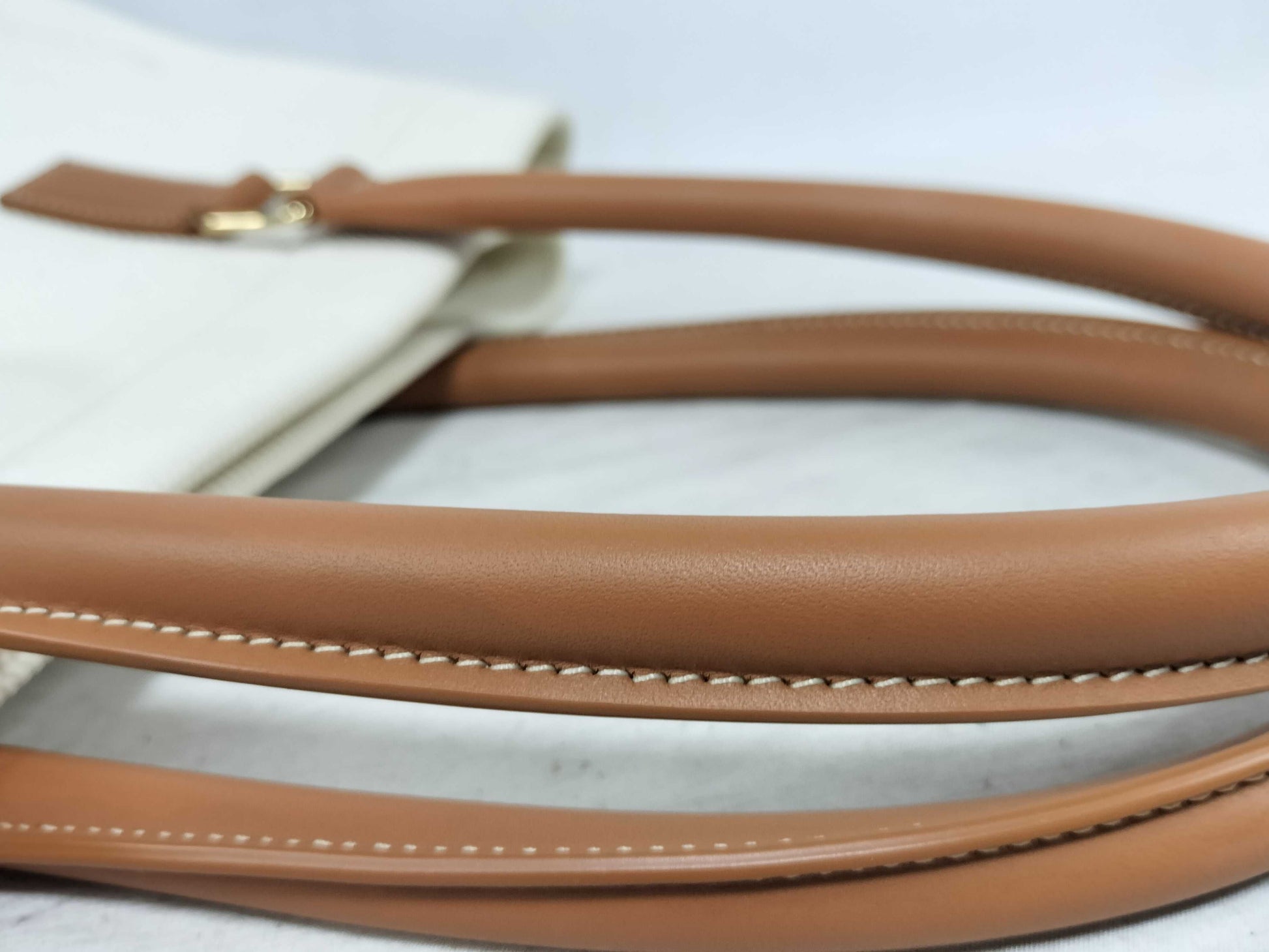 CELINE Horizontal Cave Canvas Tote Bag