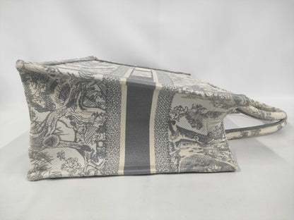 Dior Book Tote Bag
