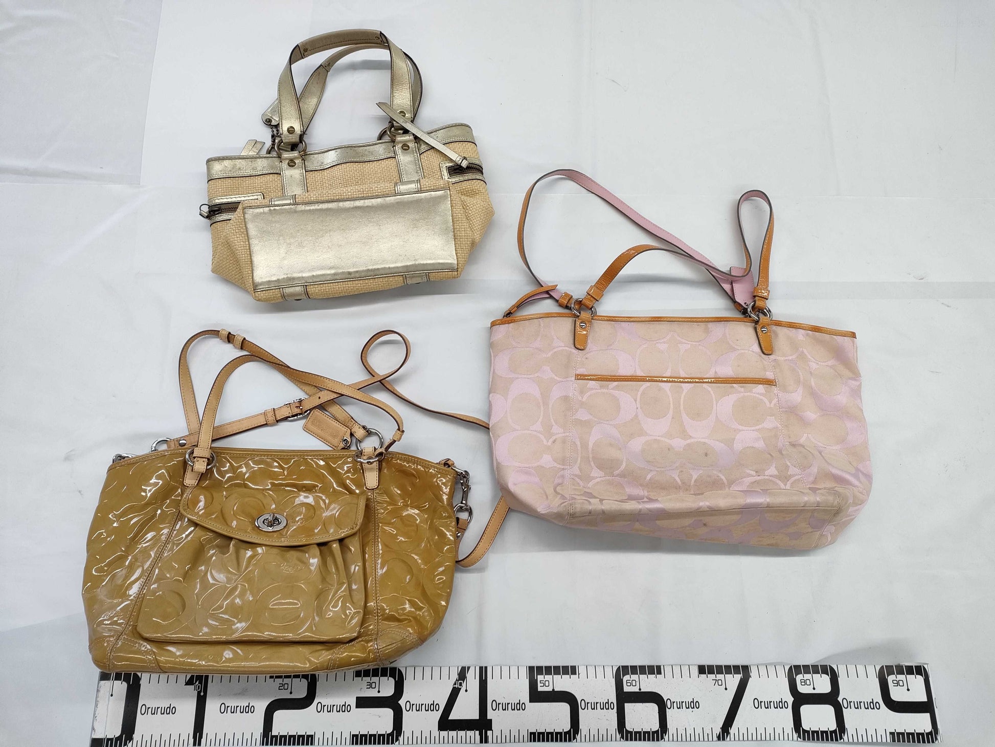 COACH 3-piece bag set