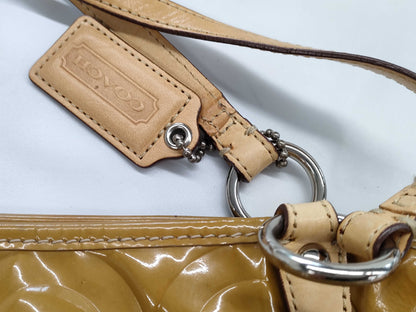 COACH 3-piece bag set