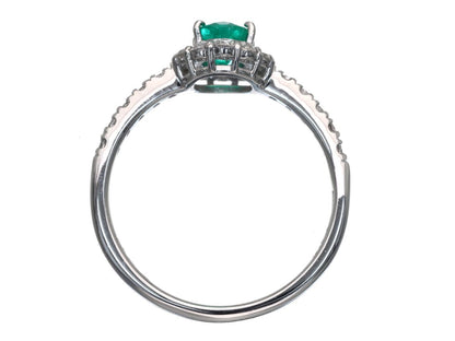E0.47ct D0.34ct Pt900 3.6g Ring 