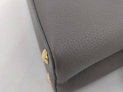 LOUIS VUITTON LOUIS VUITTON bag LV logo x python Capucines BB gray handbag