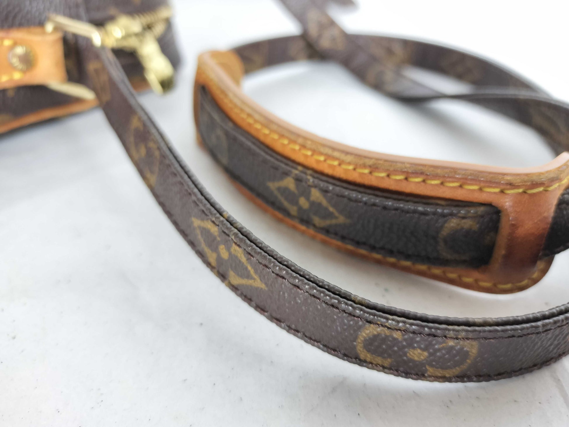 LOUIS VUITTON Monogram Danube Shoulder Bag
