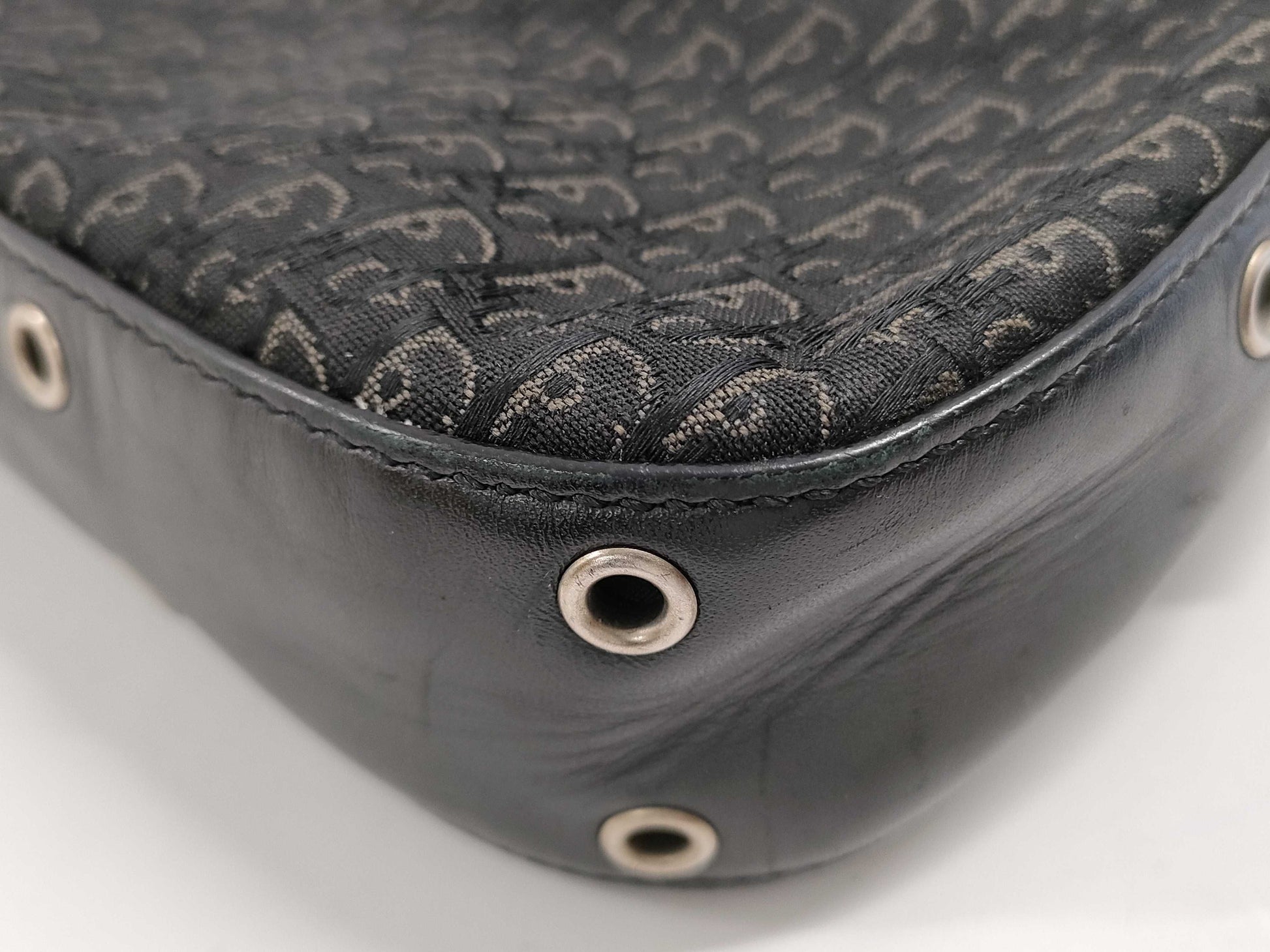 Dior Trotter Shoulder Canvas/Leather Shoulder Bag