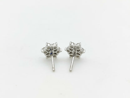 D0.15ct D0.15ct PT900 1.9g Earrings 
