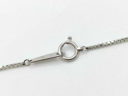 E0.13ct D0.02ct PT850 6.5g Necklace 