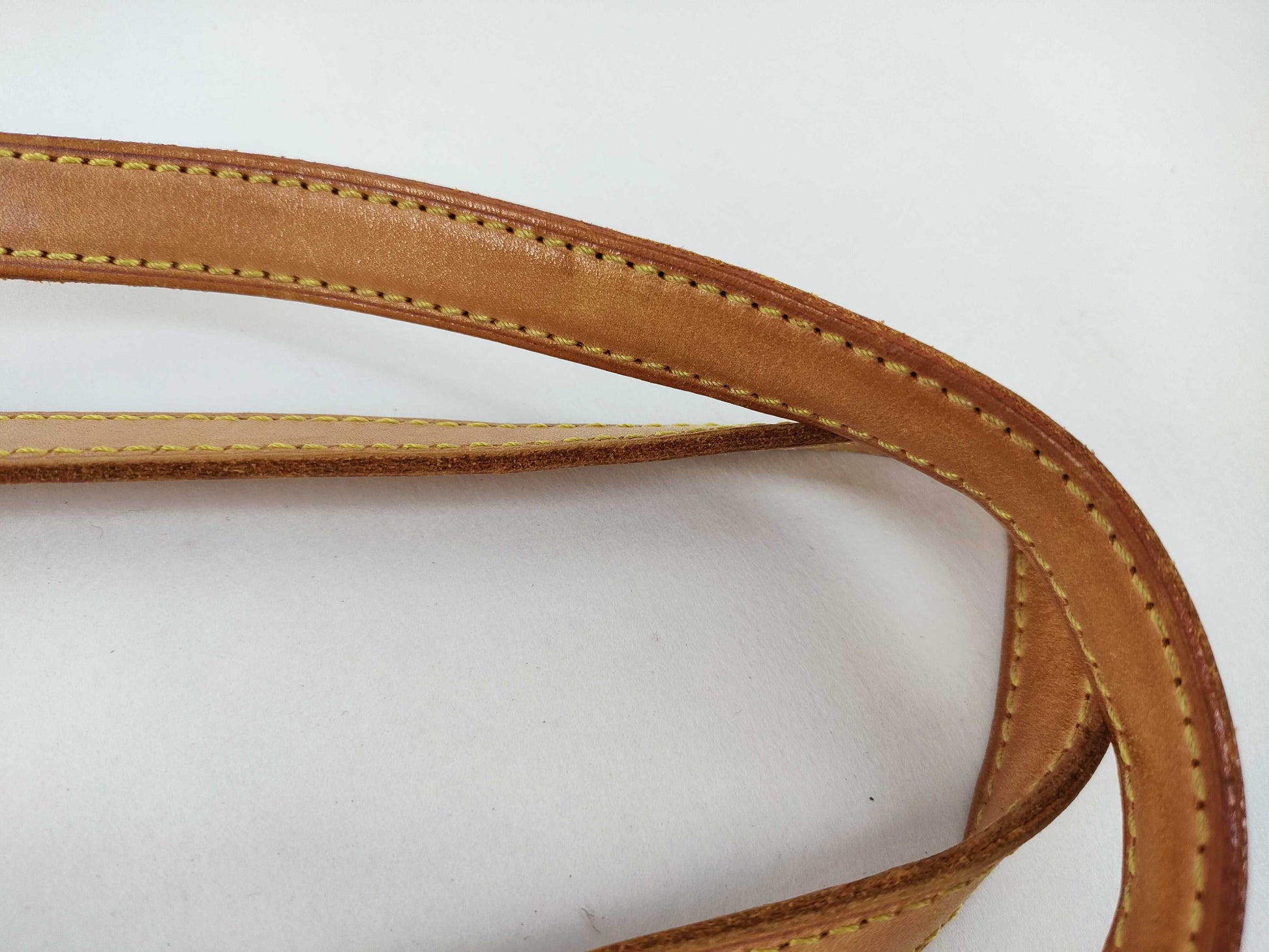 LOUIS VUITTON Monogram Bucket PM Tote Bag