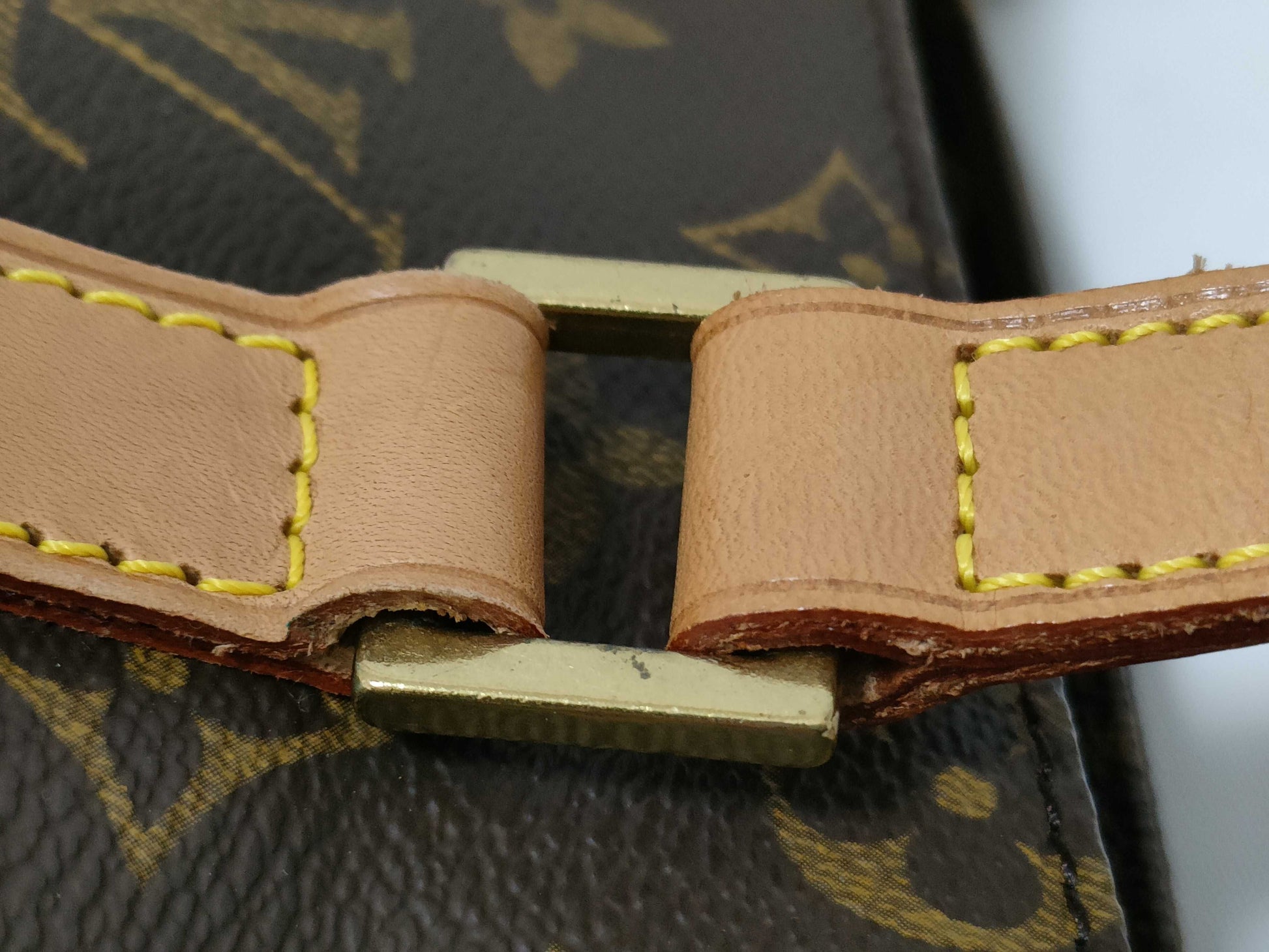 LOUIS VUITTON Monogram Caba Maison Tote Bag