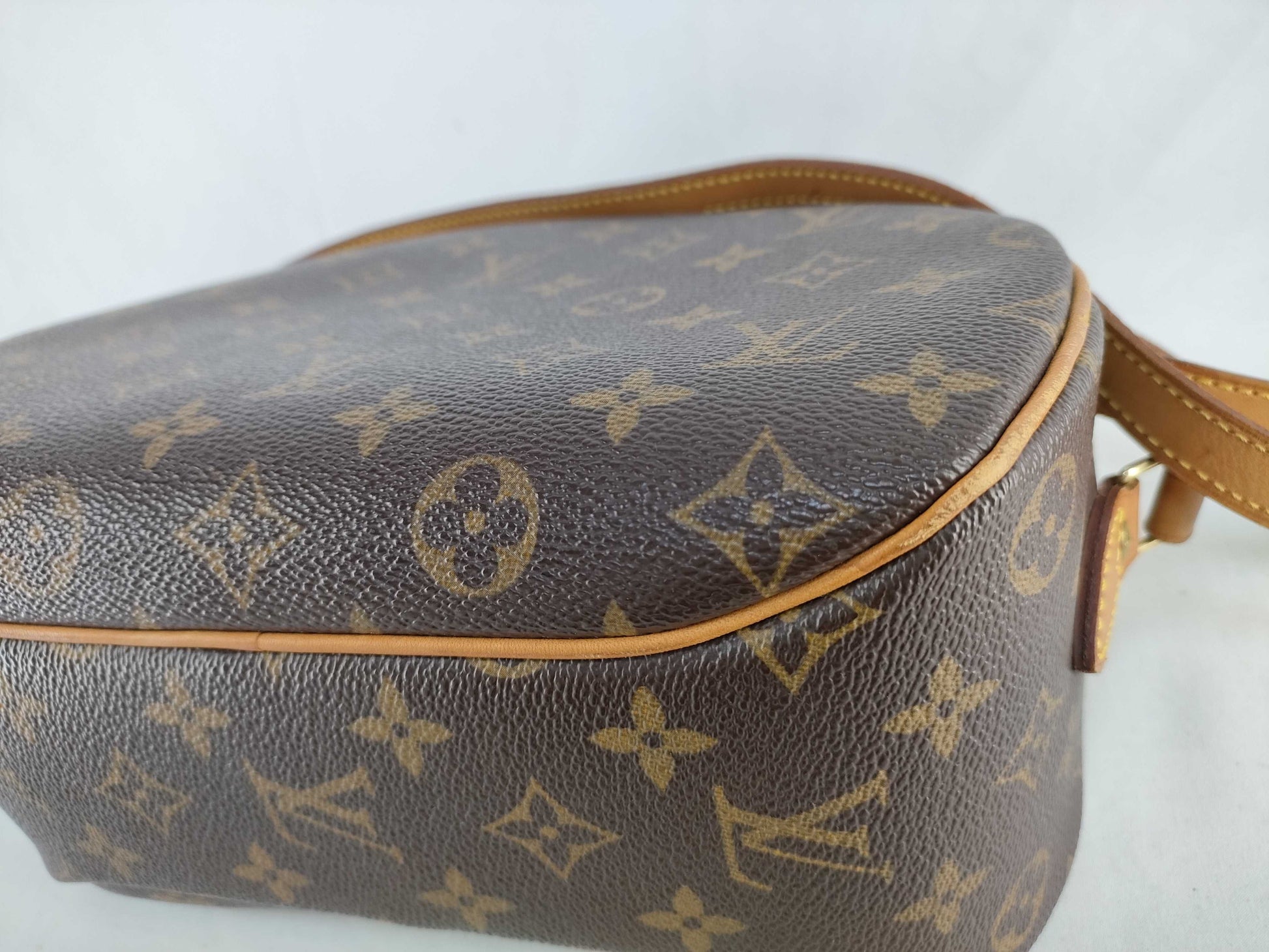 LOUIS VUITTON Monogram LV Monogram Blower M51221/BA0073 Shoulder Bag