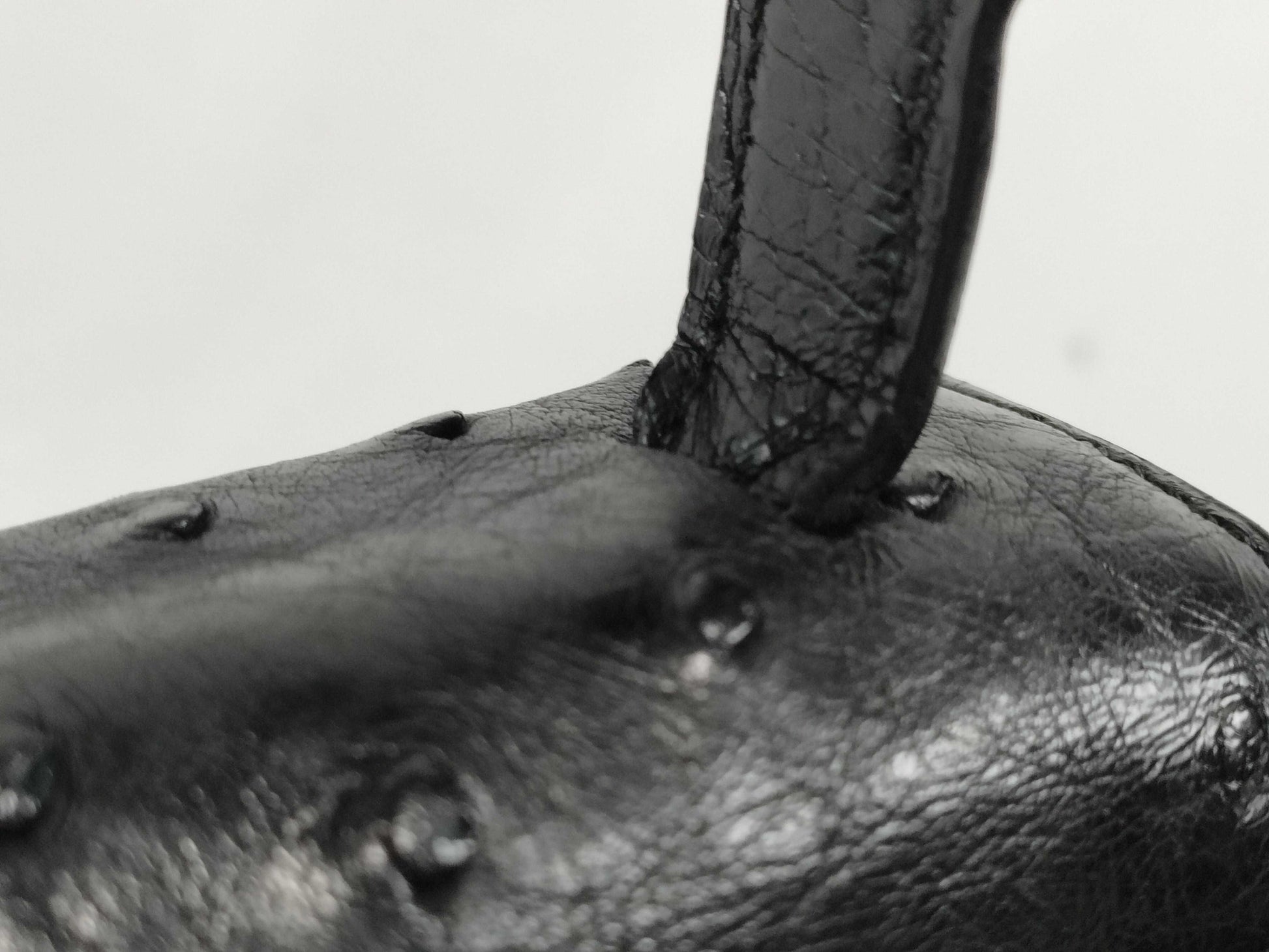 CELINE Triomphe Ostrich Bag