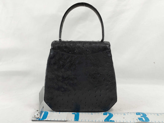 CELINE Triomphe Ostrich Bag