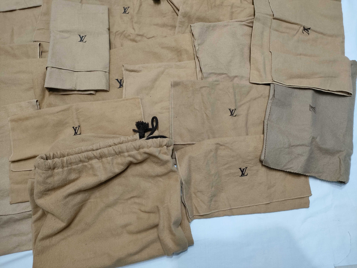 LOUIS VUITTON Vuitton Storage Bag Set of 20 Other Accessories