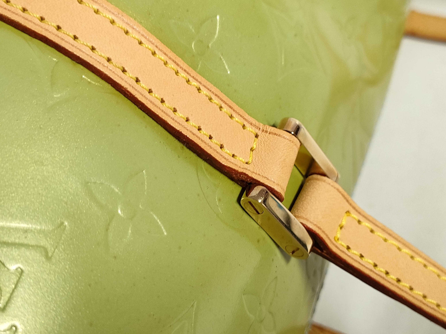 LOUIS VUITTON Verni LV Bag Handbag