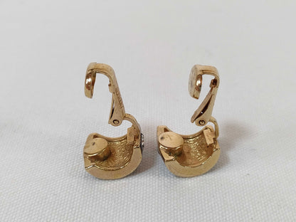 Dior Earrings with Stones 7.4g