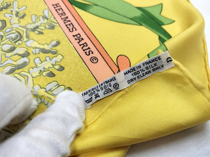 HERMES Carre Other Scarves Hermes Scarves