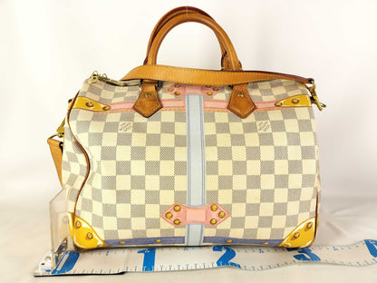 LOUIS VUITTON LV handbag