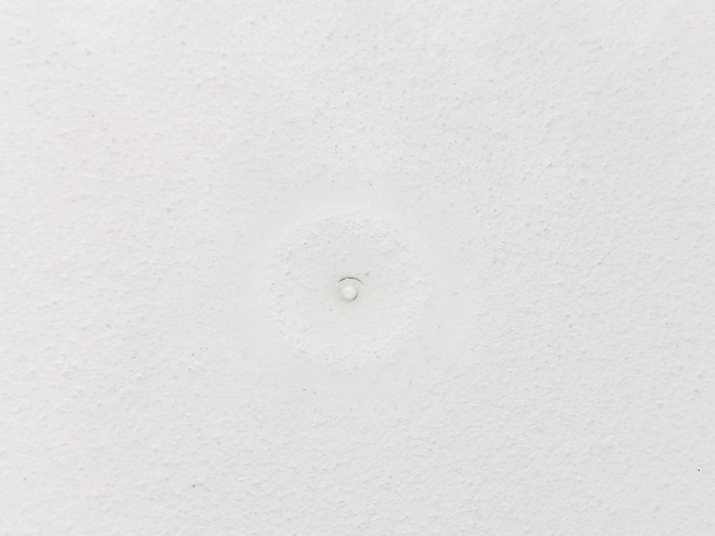 CHANEL Camellia Ceramic Aroma Stone Other Accessories