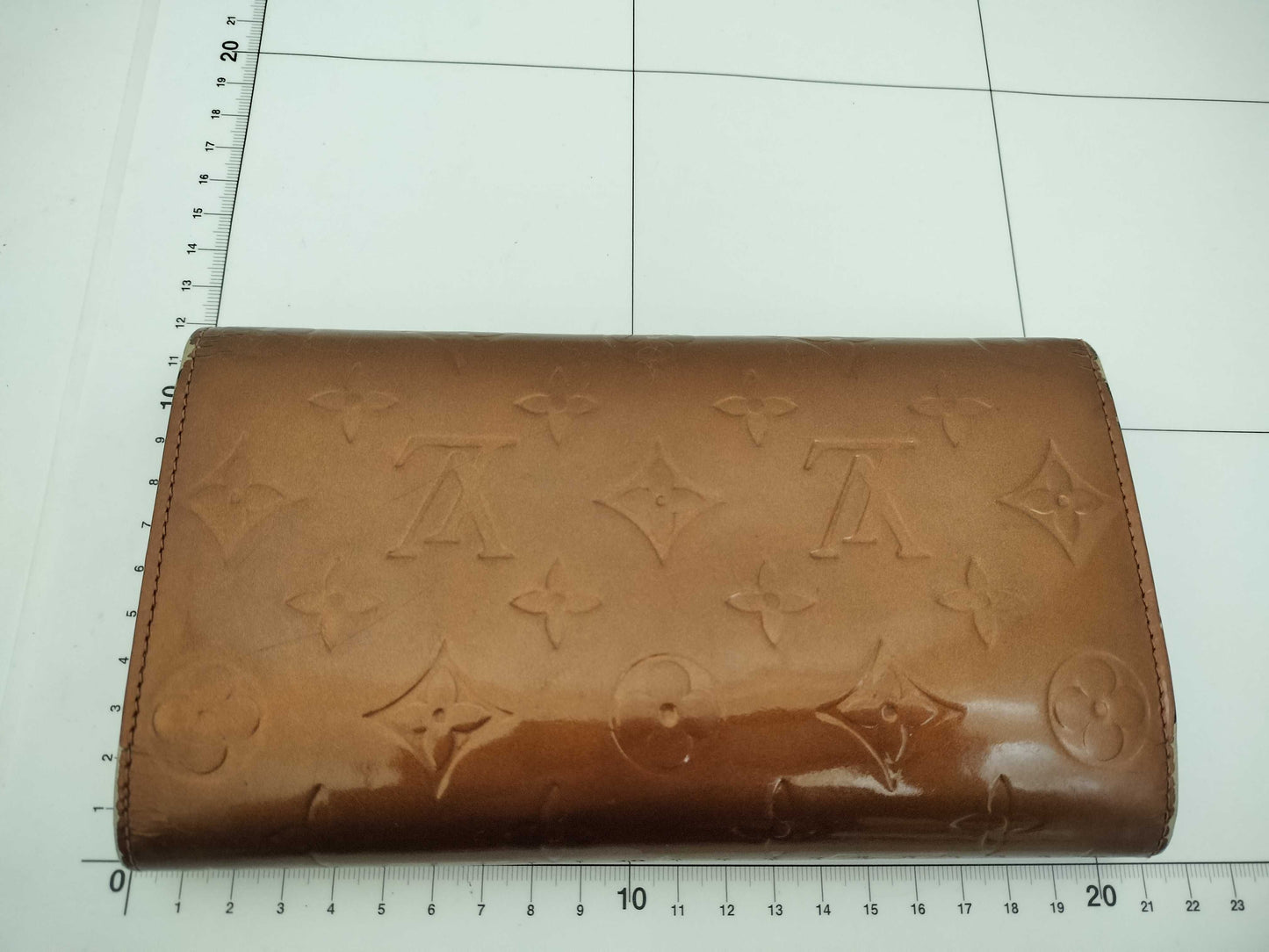 LOUIS VUITTON Vernis Wallet