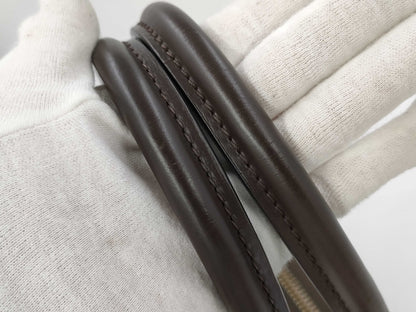 LOUIS VUITTON Monogram Louis Vuitton Damier Trevi GM Bag