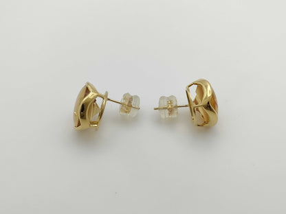Tom Munsteiner 10.52ct 18K Gold 5.5g Earrings 