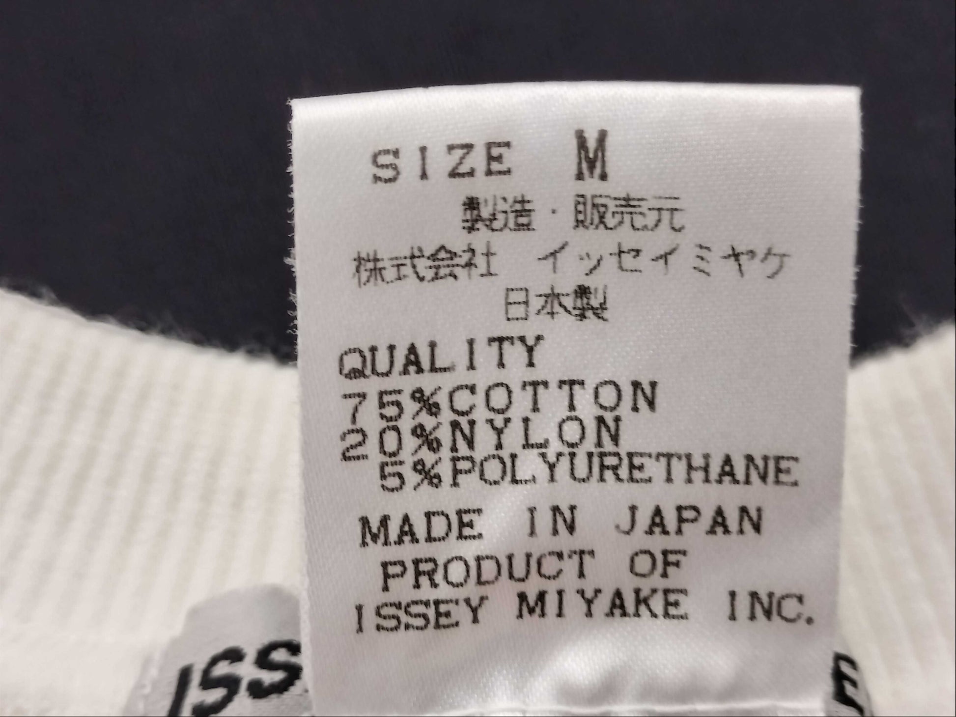 ISSEY MIYAKE ISSEY MIYAKE MEN Shooting Short Sleeve T-Shirt Sweatshirt