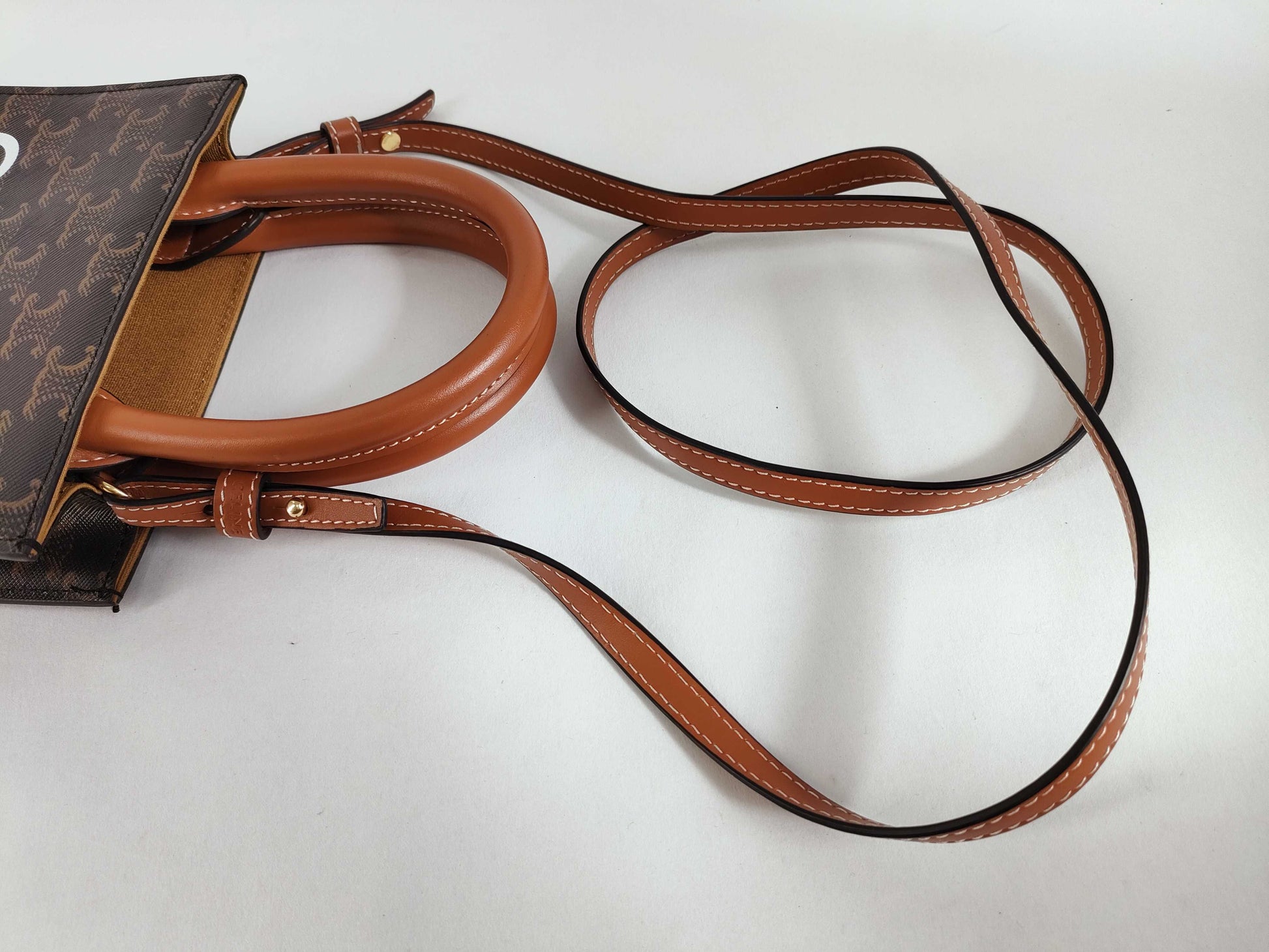 CELINE Triomphe Mini Vertical Cabas 194372BZK Handbag