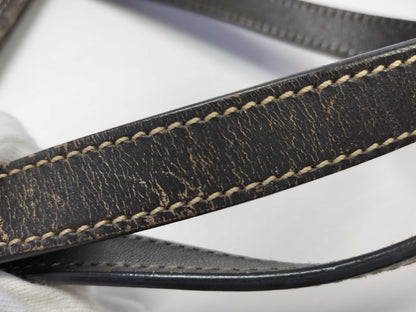 GUCCI GG Supreme Gucci Bag 211138/GG Tote Bag