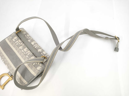 Dior Saddle Trotter Shoulder Bag