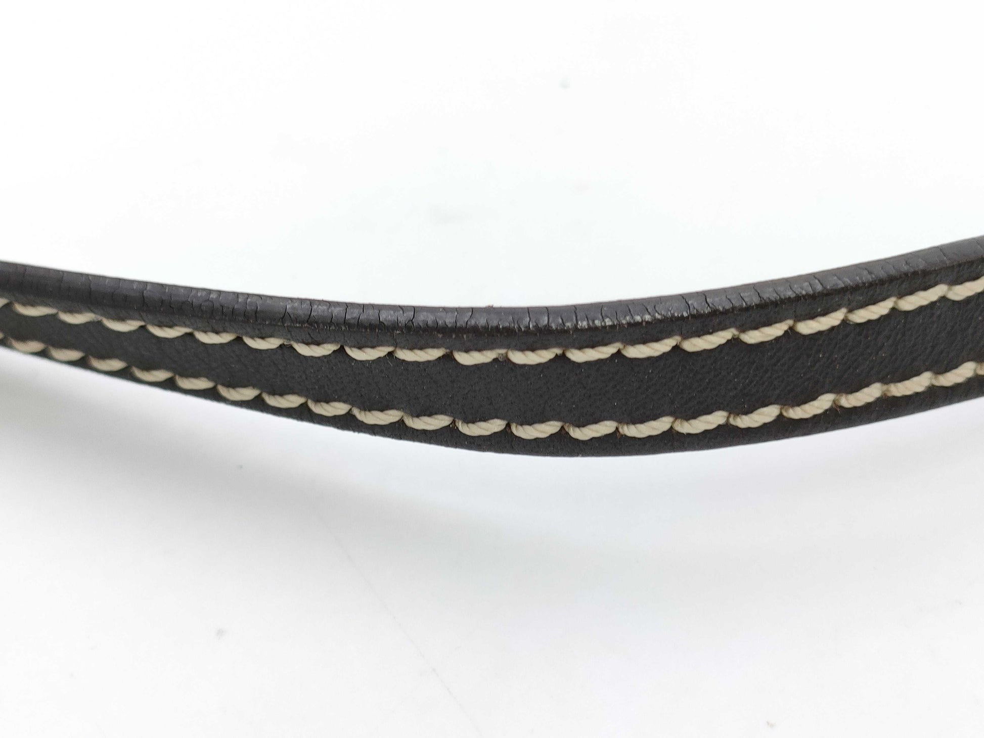 CELINE Triomphe Pouch