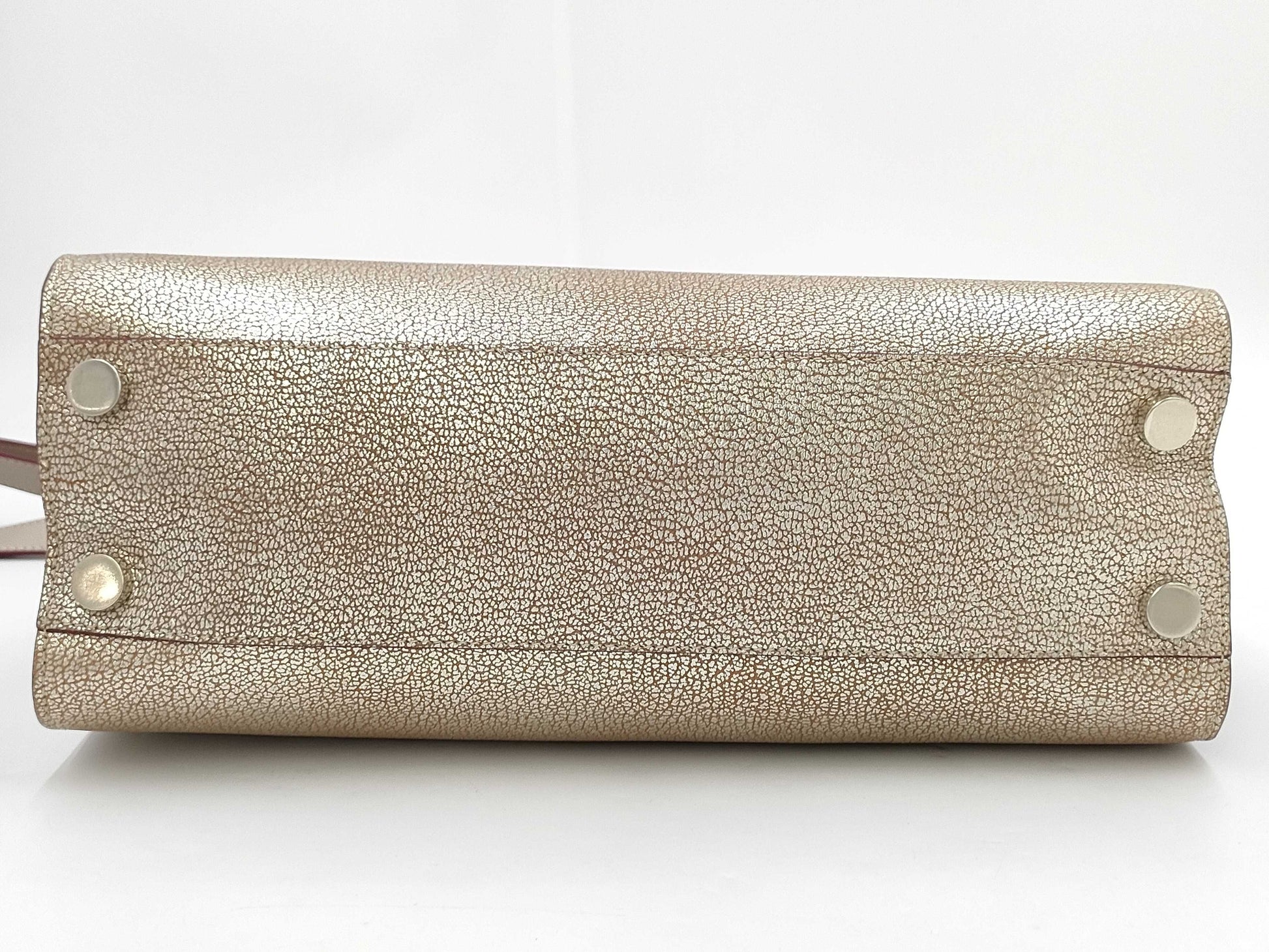 JIMMY CHOO JIMMY CHOO Riley 2-Way Shoulder Bag Bag