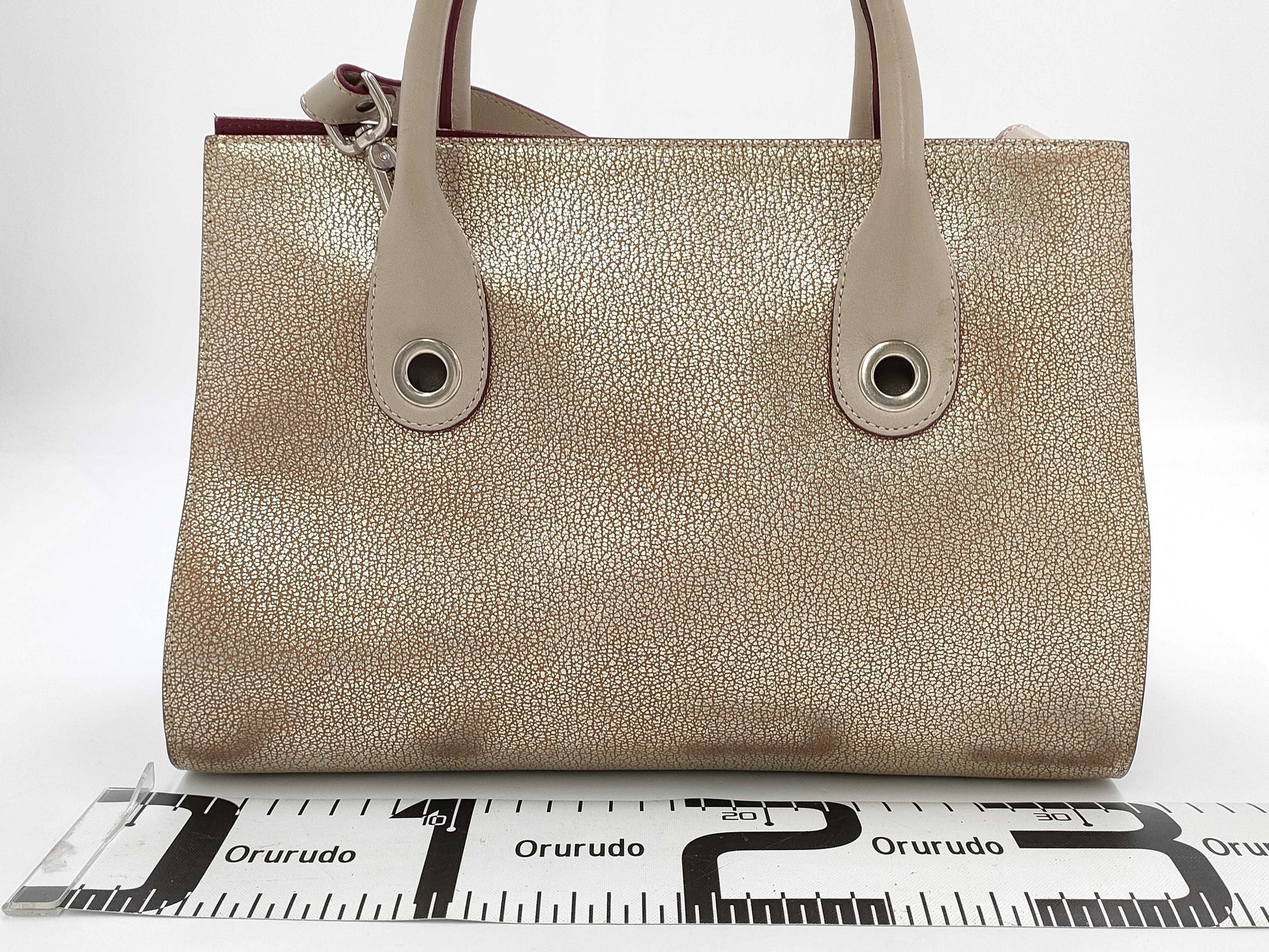 JIMMY CHOO JIMMY CHOO Riley 2-Way Shoulder Bag Bag