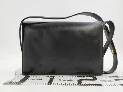 CELINE Carriage Shoulder Bag
