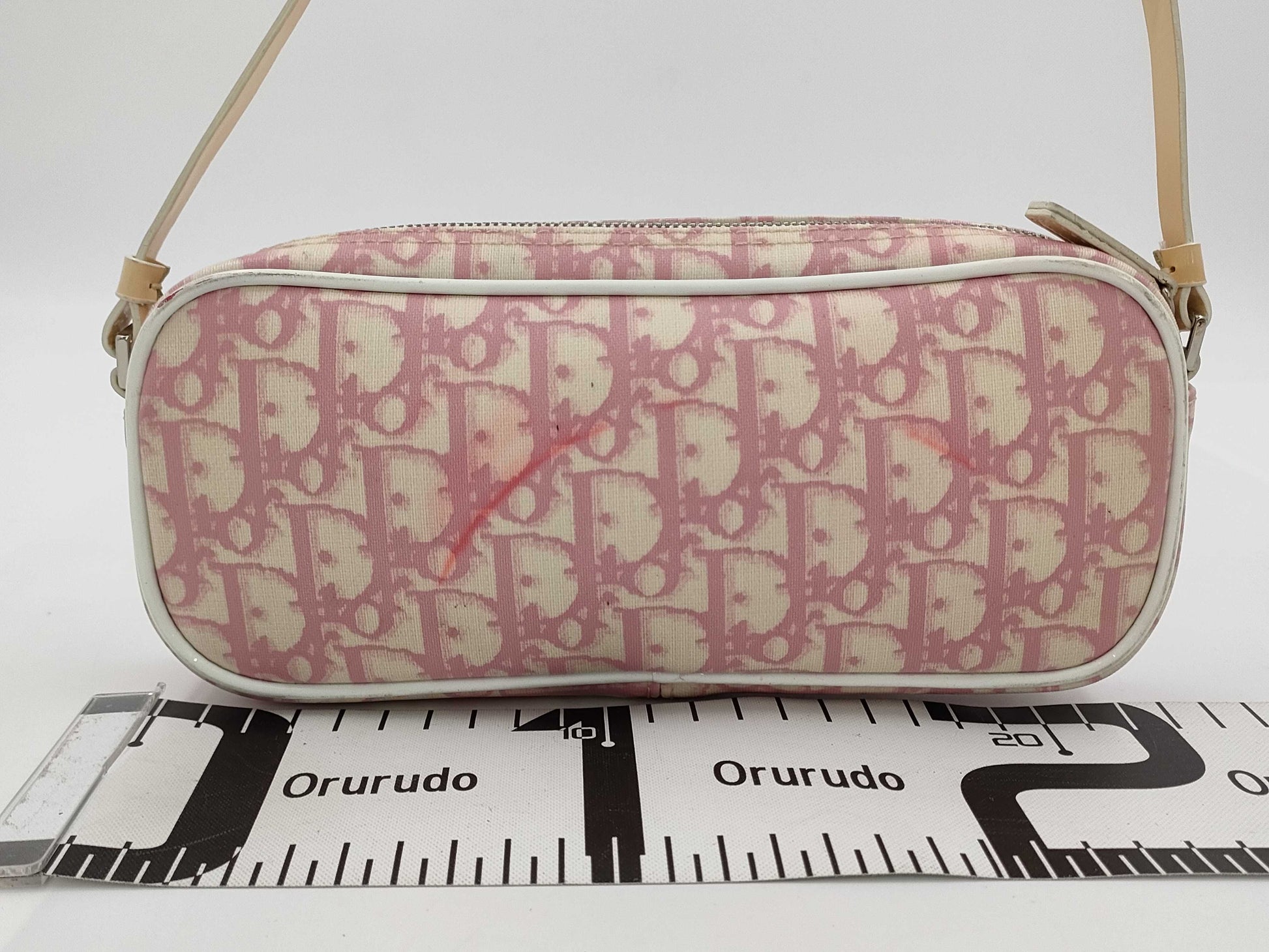 Dior Christian Dior Accessory Pouch Pouch