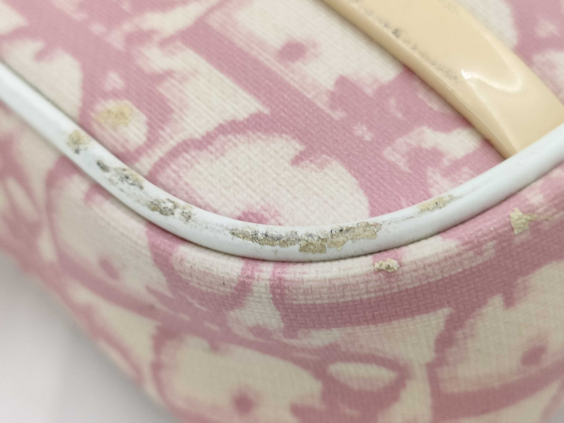 Dior Christian Dior Accessory Pouch Pouch