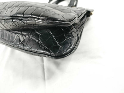 BOTTEGA VENETA BOTTEGA VENETA Bottega Veneta crocodile leather matte crocodile handbag handbag