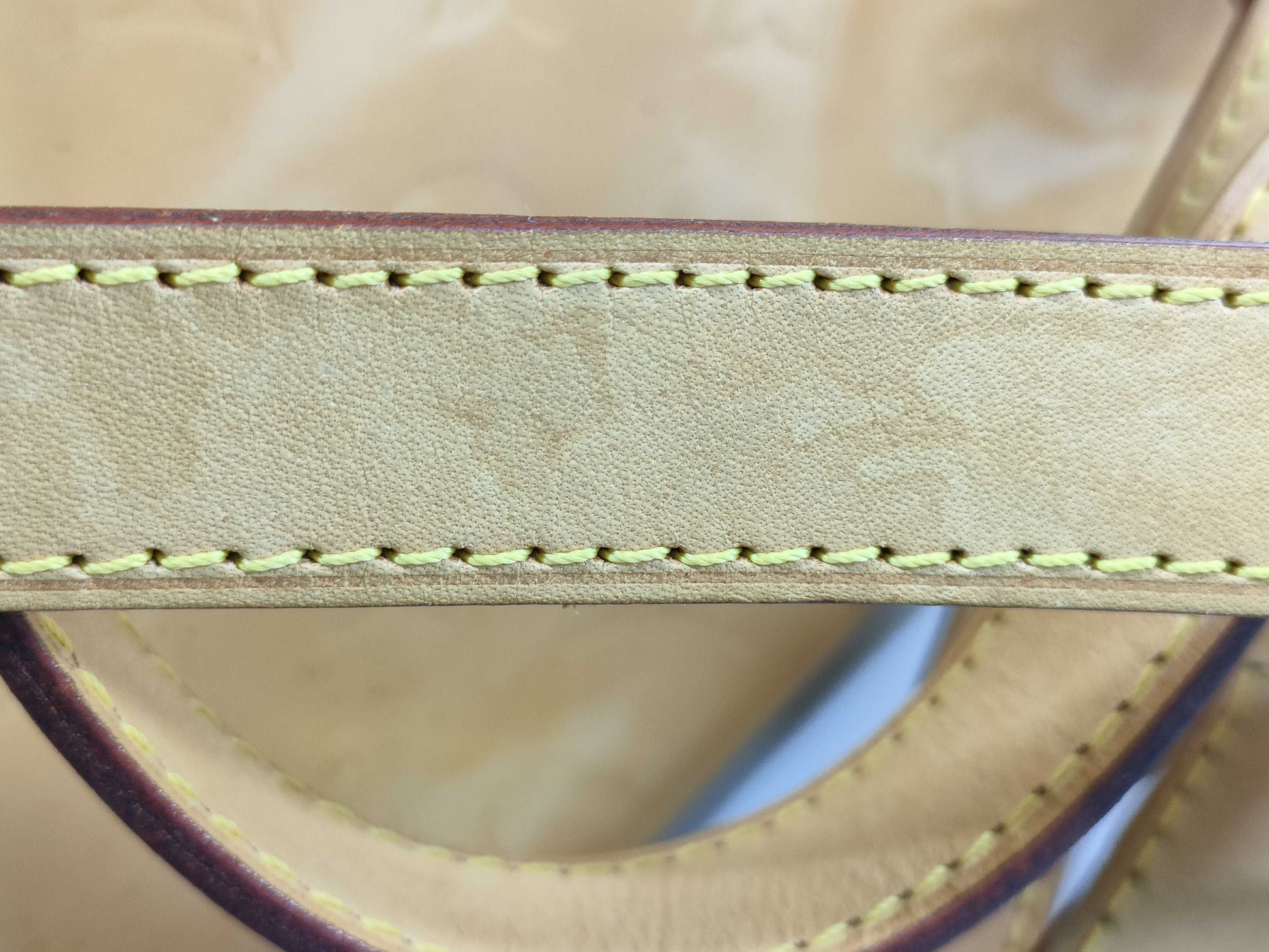 LOUIS VUITTON Vernis Marley M91039 Backpack