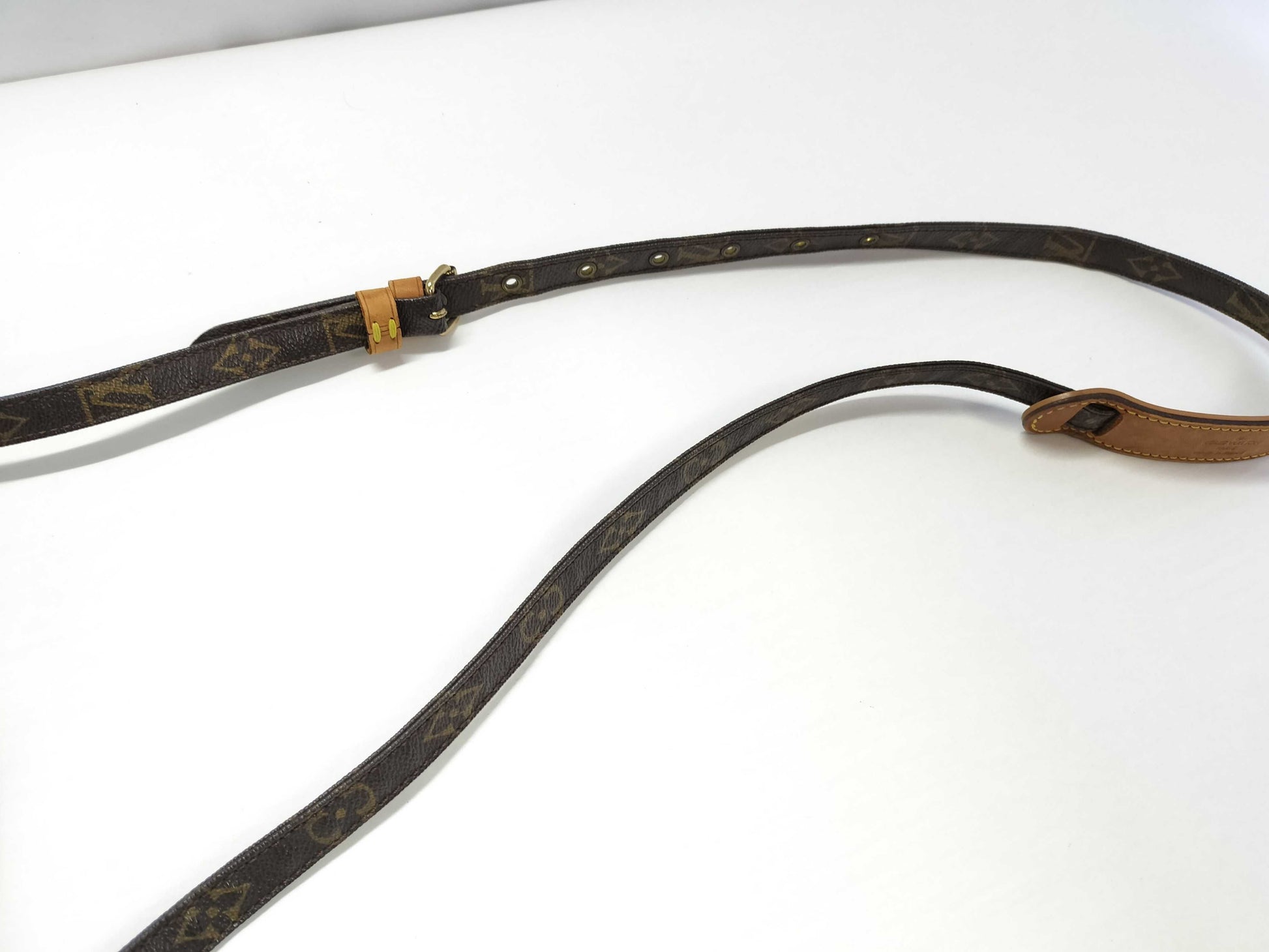 LOUIS VUITTON Monogram Danube Shoulder Bag