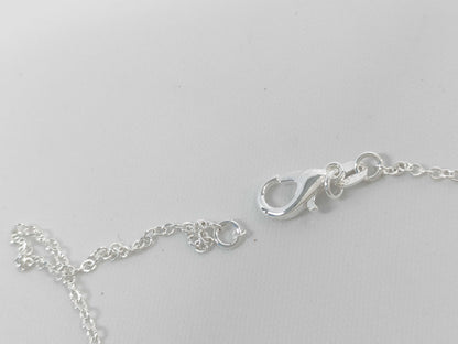 Tiffany & Co. Coin Edge Bar Necklace SV925 Titanium Necklace