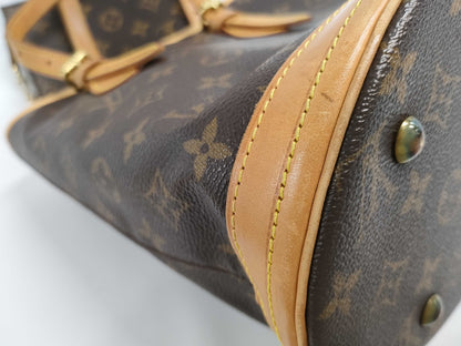 LOUIS VUITTON LV handbag