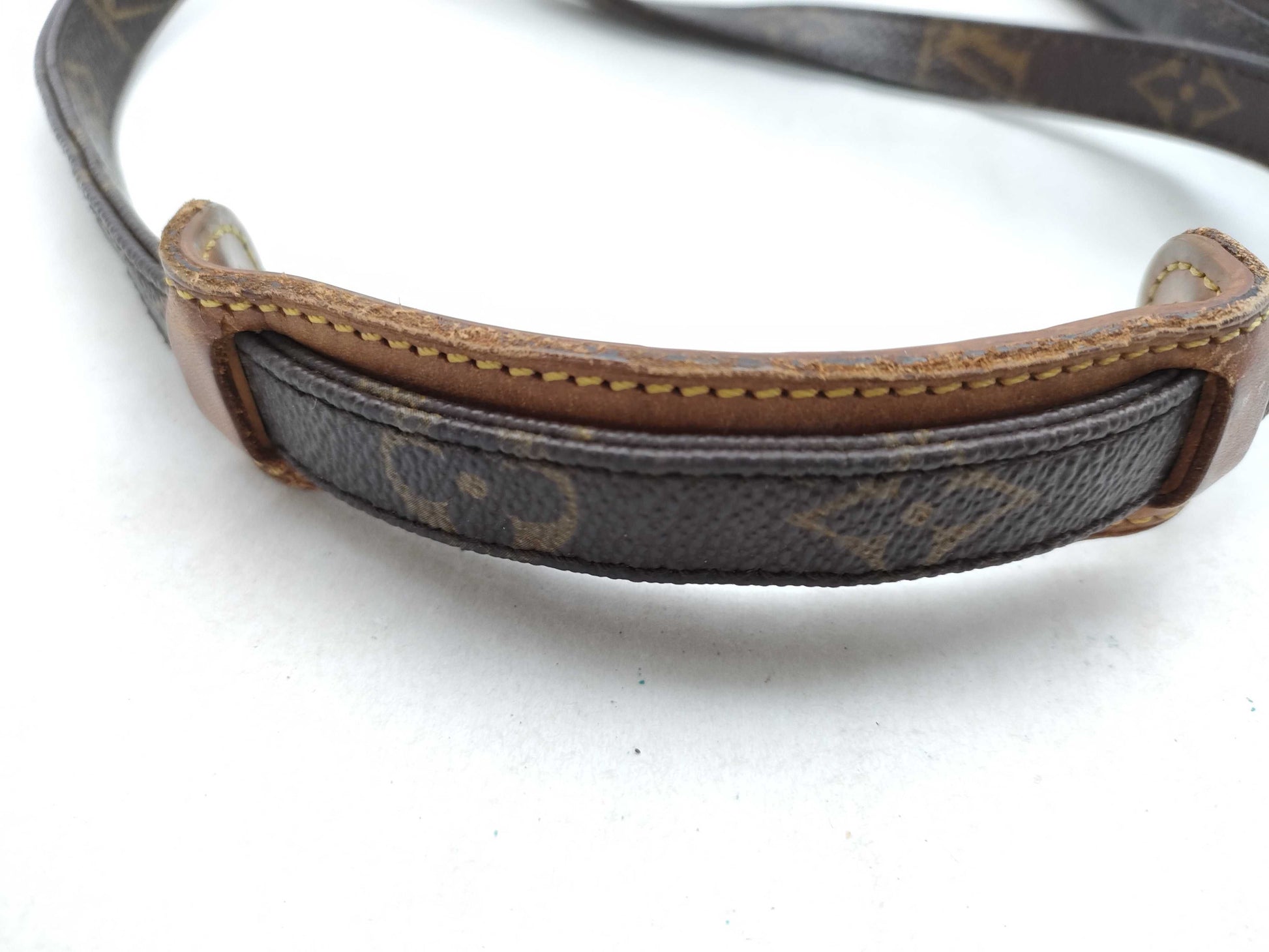 LOUIS VUITTON Monogram LOUIS VUITTON Amazon Monogram Shoulder Bag