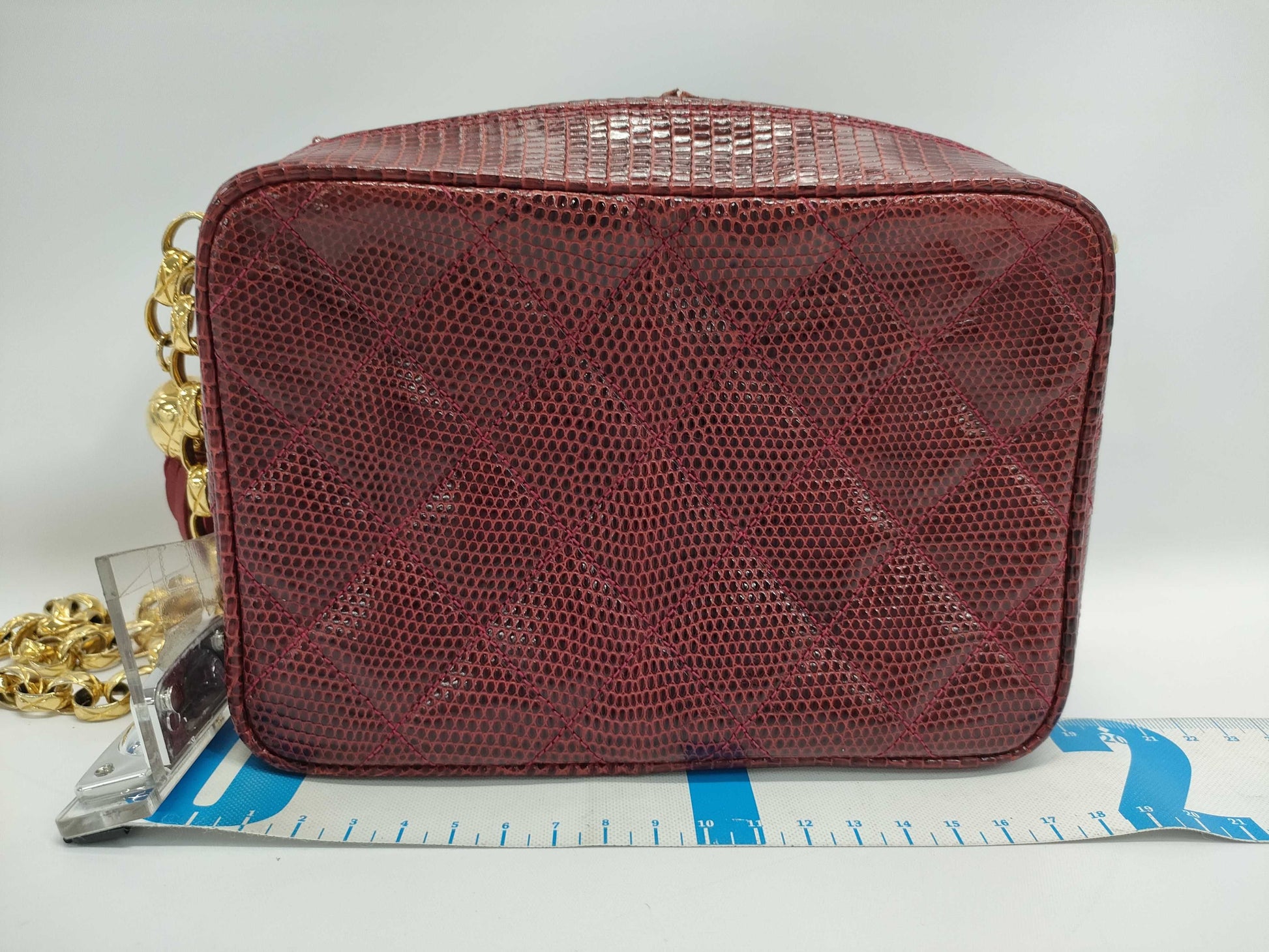 CHANEL Matelasse Lizard Fringe Jeweled Chain Shoulder Bag with Seal Card