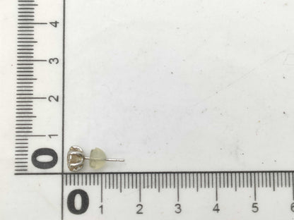 D0.70ct PT900 0.4g Earrings 