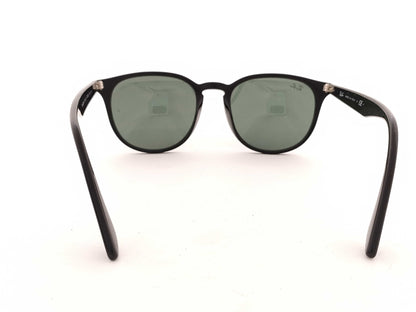  RayBan Ray-Ban Sunglasses RB4259 Accessories: Case Sunglasses/Eyeglasses