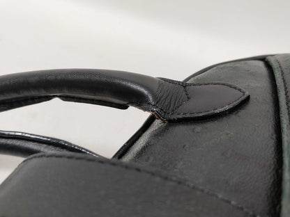 Dior Ostrich Double Saddle Handbag